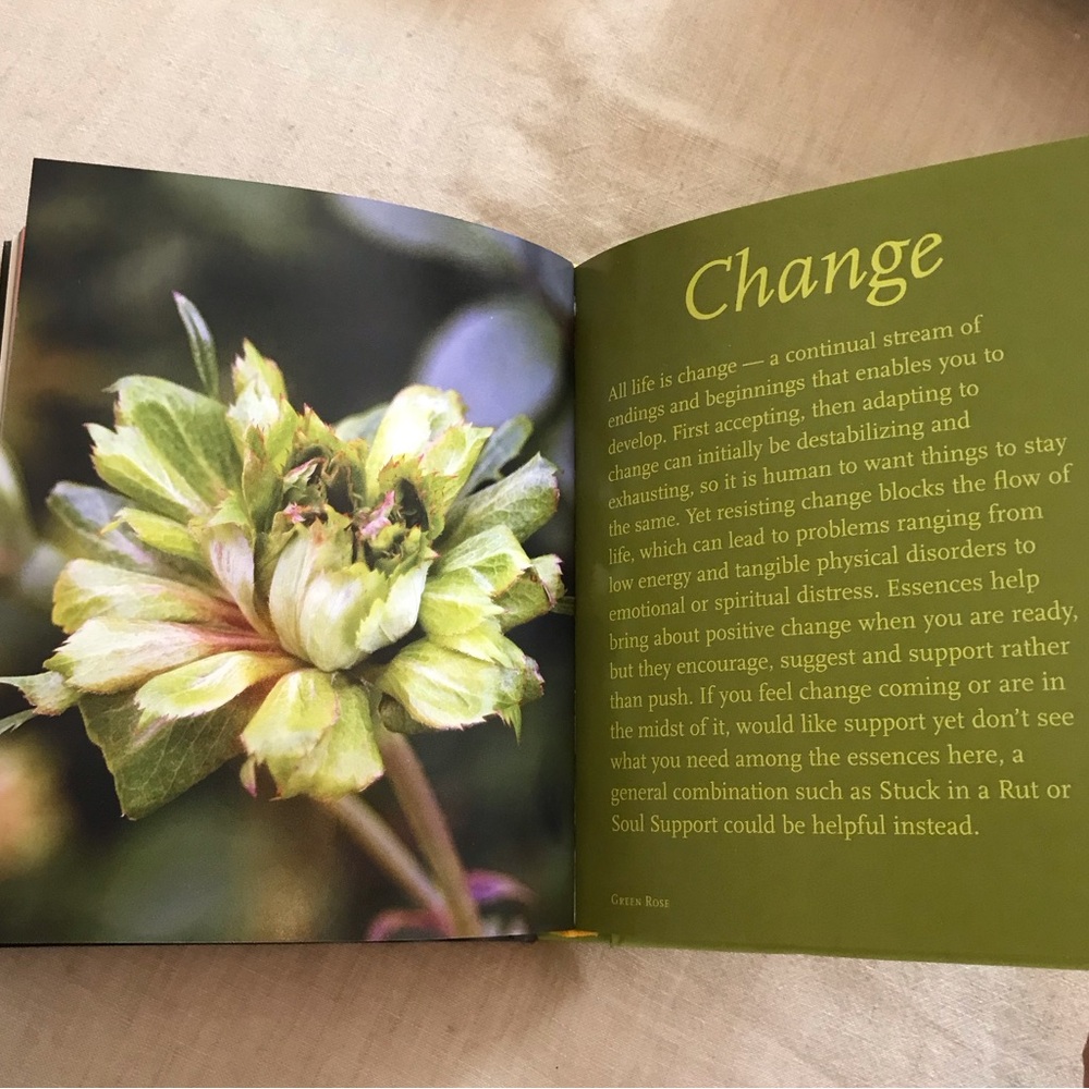 Heal Yourself With Flowers Book - Picture 3 of 7